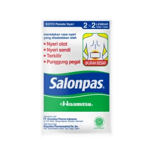 Salonpas 10 patches